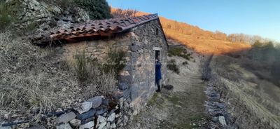 45 Vacances dans le Cantal - 206C90~1 optimise Pbase.jpg