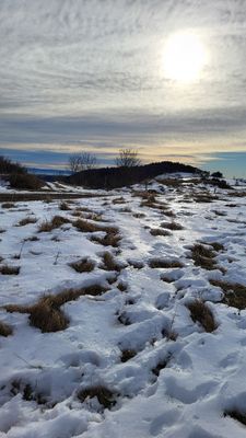 310 Vacances dans le Cantal - 207204~1 optimise Pbase.jpg