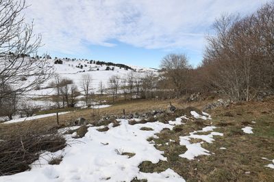 317 Vacances dans le Cantal - IMG_1918 optimise Pbase.jpg