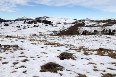 331 Vacances dans le Cantal - IMG_1930 optimise Pbase.jpg