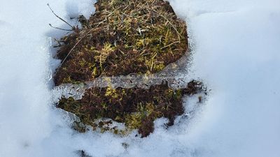 344 Vacances dans le Cantal - 205E4C~1 optimise Pbase.jpg