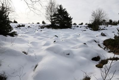 352 Vacances dans le Cantal - IMG_1944 optimise Pbase.jpg