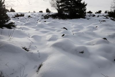 354 Vacances dans le Cantal - IMG_1946 optimise Pbase.jpg