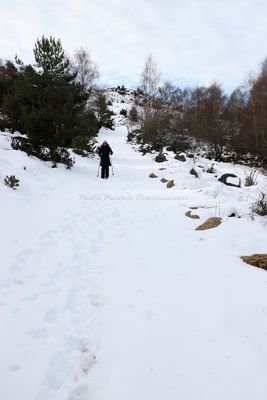 359 Vacances dans le Cantal - IMG_1949 optimise Pbase.jpg