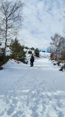 364 Vacances dans le Cantal - 20FA8A~1 optimise Pbase.jpg
