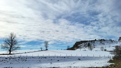 371 Vacances dans le Cantal - 207C5B~1 optimise Pbase.jpg