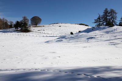 390 Vacances dans le Cantal - IMG_1974 optimise Pbase.jpg