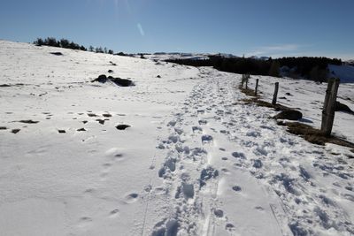 397 Vacances dans le Cantal - IMG_1979 optimise Pbase.jpg