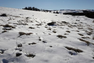 408 Vacances dans le Cantal - IMG_1991 optimise Pbase.jpg