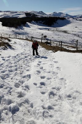 416 Vacances dans le Cantal - IMG_1999 optimise Pbase.jpg