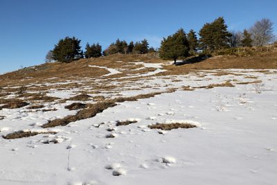 439 Vacances dans le Cantal - IMG_2015 optimise Pbase.jpg