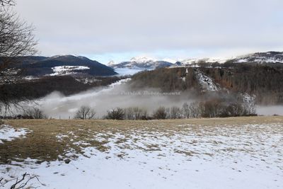 451 Vacances dans le Cantal - IMG_2026 optimise Pbase.jpg