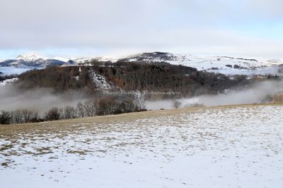 452 Vacances dans le Cantal - IMG_2027 optimise Pbase.jpg