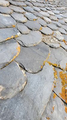 511 Vacances dans le Cantal - 20D0A0~1 optimise Pbase.jpg