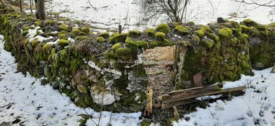 540 Vacances dans le Cantal - 20DA75~1 optimise Pbase.jpg