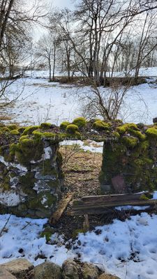 541 Vacances dans le Cantal - 203AB3~1 optimise Pbase.jpg