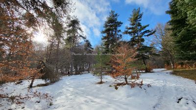 568 Vacances dans le Cantal - 204C5F~1 optimise Pbase.jpg