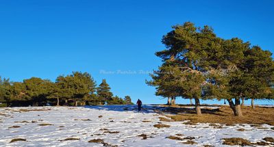 682 Vacances dans le Cantal - 204870~1 optimise Pbase.jpg