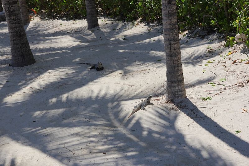 Cancun - 15.jpeg