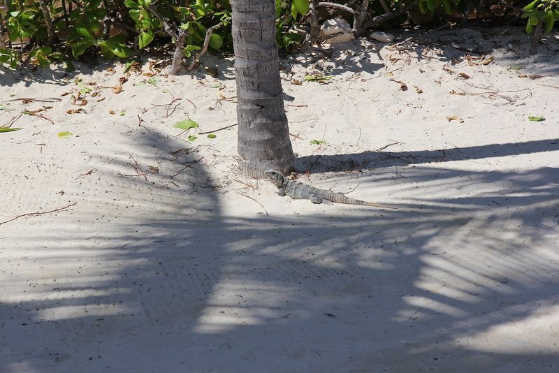 Cancun - 17.jpeg