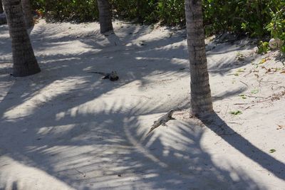Cancun - 15.jpeg