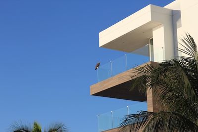 cancun - 3 of 82.jpeg