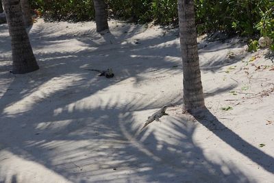 cancun - 15 of 82.jpeg