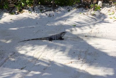 cancun - 16 of 82.jpeg
