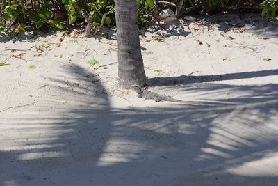 cancun - 17 of 82.jpeg