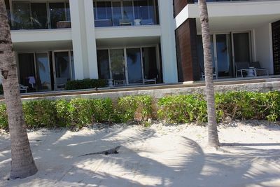 cancun - 18 of 82.jpeg