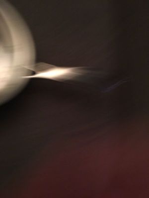 IMG_2358.JPG