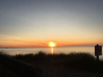 IMG_2510.JPG