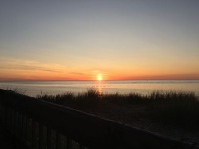 IMG_2514.JPG