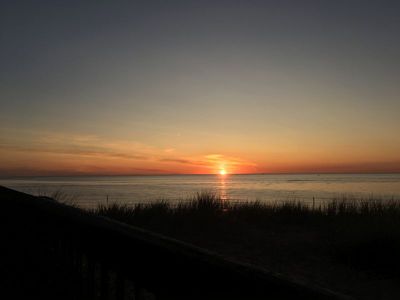 IMG_2516.JPG