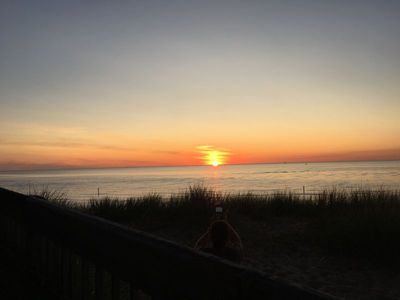 IMG_2520.JPG