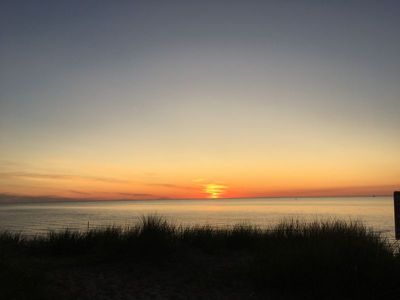 IMG_2531.JPG