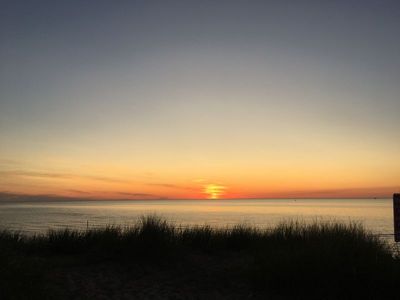 IMG_2533.JPG