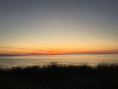 IMG_2534.JPG