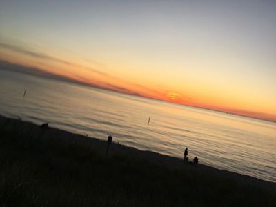 IMG_2539.JPG