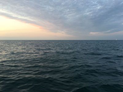 IMG_2964.JPG