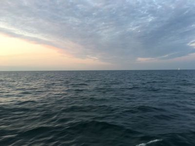 IMG_2968.JPG