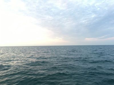 IMG_2970.JPG