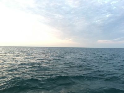 IMG_2972.JPG