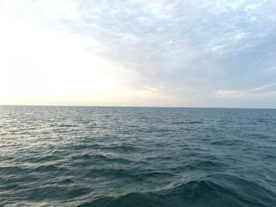 IMG_2973.JPG