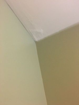 IMG_2983.JPG