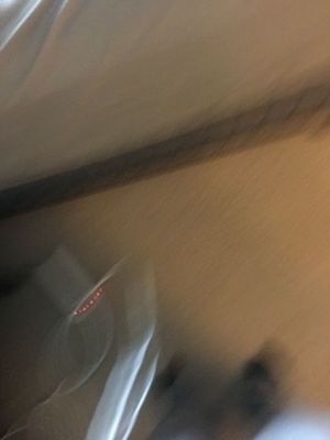 IMG_3028.JPG