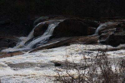 IMG_9534.jpg