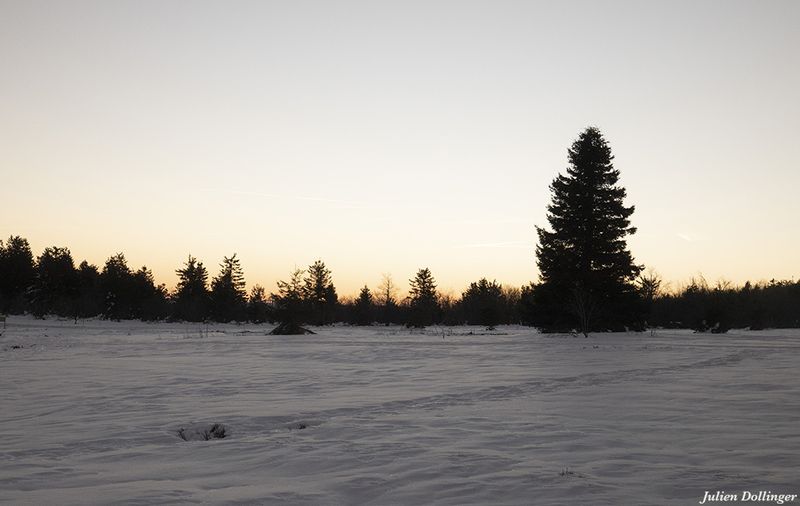 Paysage