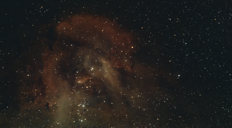 IC_2944 copy.png