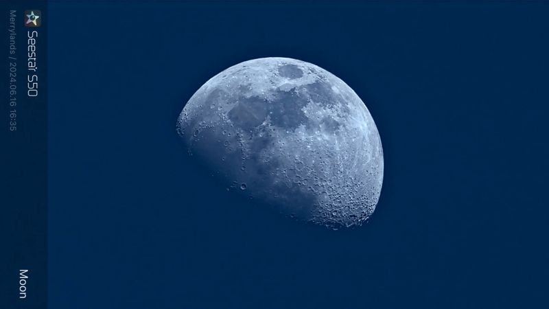 IMG_1685.JPG